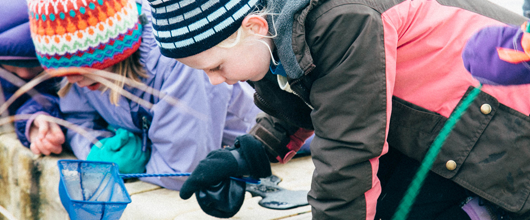 15_SH_DiscoverSTEM 15_SH_DiscoverSTEM